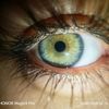 sally_mohamed81