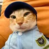 tolaabenb_2002