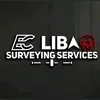 EC. Surveyor