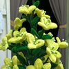azizah_9659