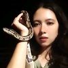indri_micklem