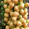 uservijay0160