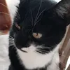 elisangelapadilha85