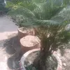 ngi.min.nam.nhn.o