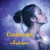 centimetre8