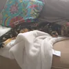 lillyanimaux0