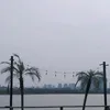 trangmin059