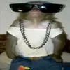 silvzx0016