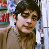 l.t.shirani