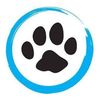 radiant_paws