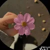 t._2231