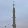 hhhhhhhhffhhb