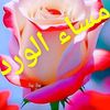 rayes2736