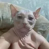 69bobr69