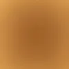 blooom041