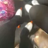 _luchyy_5