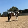 emilias_main13