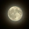 sanamalik_1508