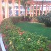 castrotomasa0