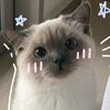 nara_account2