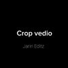 crop.vedio0