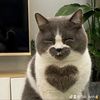jerjjrjfj1233556