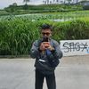 mafiareadaman