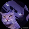 rrabarr_01