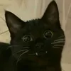 74vr4_00
