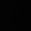dianag.5