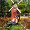 lesiana_dwi_hanifah