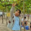 thuy.5070