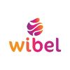 wibel_capacitaciones