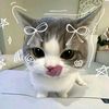 its_farha_07