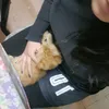 chiarita.xd