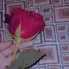 simaneyyyy24