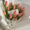 cbdze7