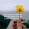jonasfernandes400