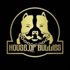 HouseOfBullies_UAE