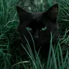 blackprincss