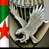 jokarjokar041