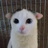 miitute