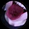 acq_502