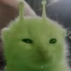 gato_alien69