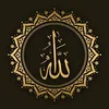 awaiskarni009