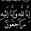 user51488105028544