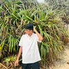 pramodya_1