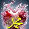 user52274581145741abrish