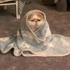 lover.cats1020