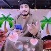 mazloomyar711
